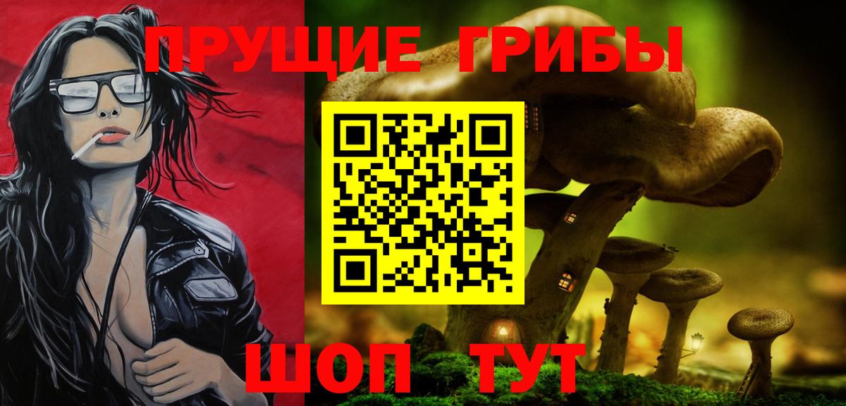 Заречный  Галлюциногенные грибы мухоморы  Вход с VPN  Галлюциногенные грибы прущие грибы 