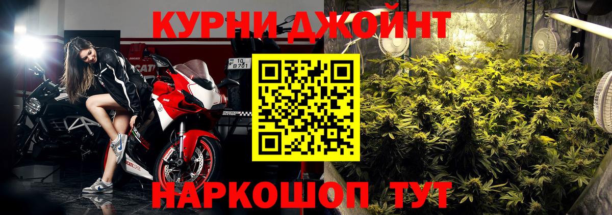 Бошки марихуана Amnesia Заречный